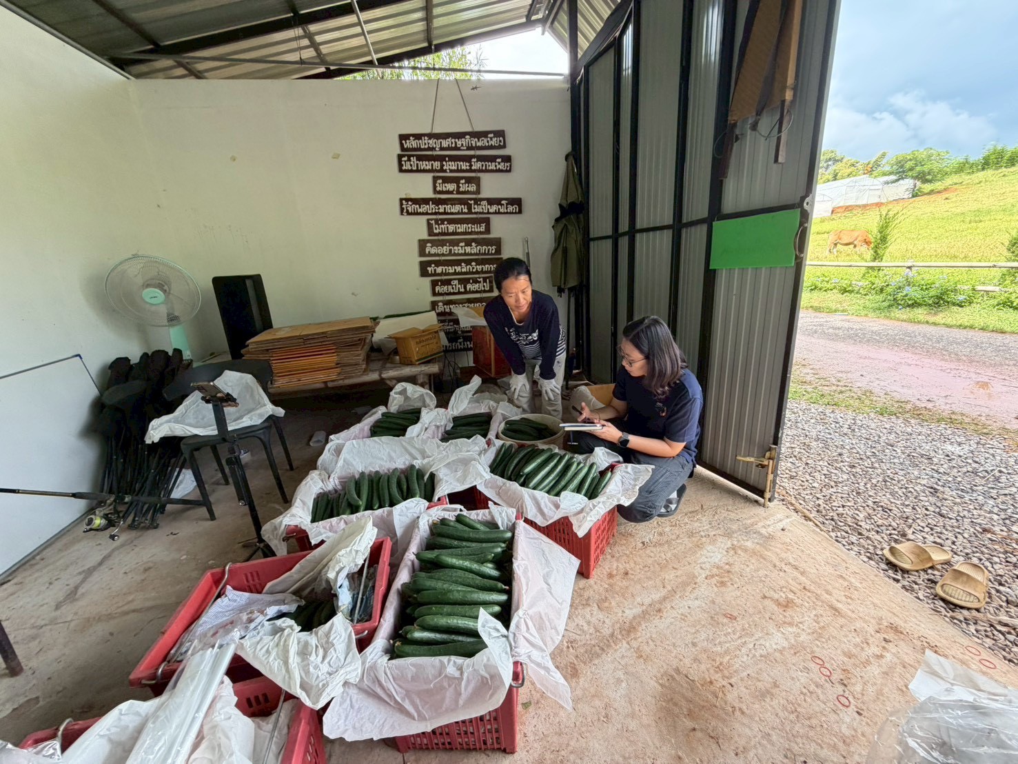 %e0%b9%81%e0%b8%95%e0%b8%87%e0%b8%81%e0%b8%a7%e0%b8%b2%e0%b8%8d%e0%b8%b5%e0%b9%88%e0%b8%9b%e0%b8%b8%e0%b9%88%e0%b8%99-%e0%b8%ab%e0%b9%89%e0%b8%a7%e0%b8%a2%e0%b8%99%e0%b9%89%e0%b8%b3%e0%b8%82%e0%b8%b2