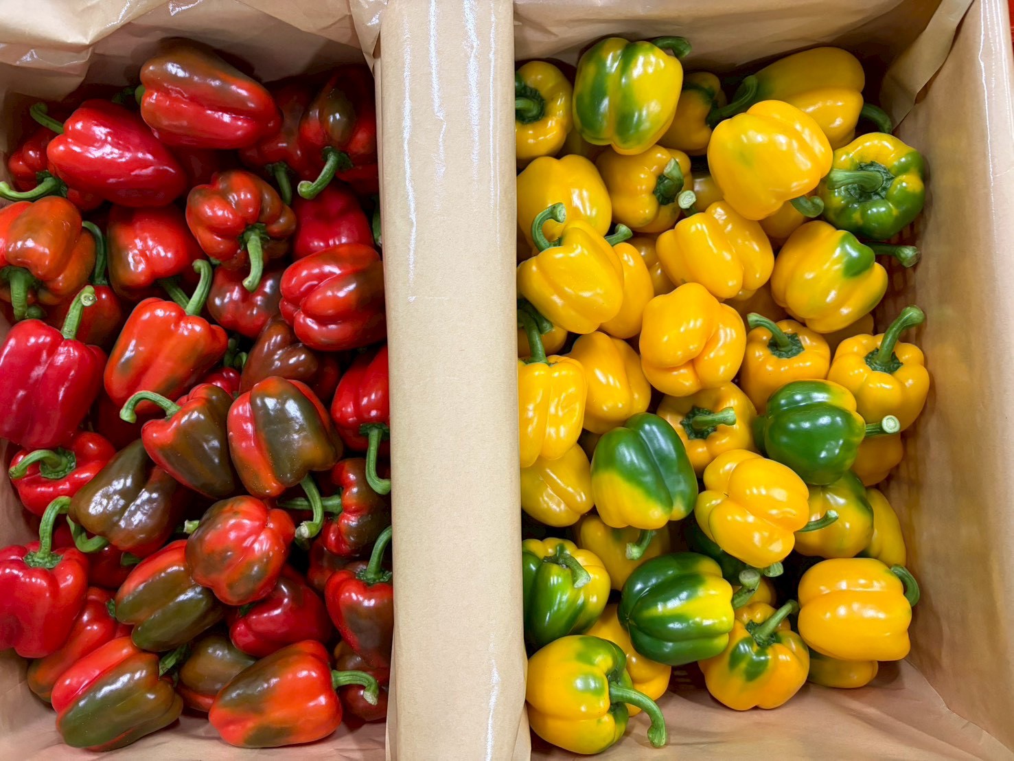 %e0%b8%9e%e0%b8%a3%e0%b8%b4%e0%b8%81%e0%b8%ab%e0%b8%a7%e0%b8%b2%e0%b8%99-%e0%b8%ab%e0%b9%89%e0%b8%a7%e0%b8%a2%e0%b8%99%e0%b9%89%e0%b8%b3%e0%b8%82%e0%b8%b2%e0%b8%a7-3