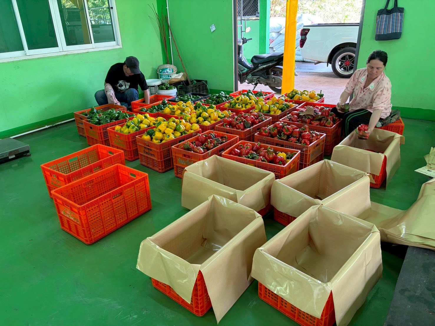 %e0%b8%9e%e0%b8%a3%e0%b8%b4%e0%b8%81%e0%b8%ab%e0%b8%a7%e0%b8%b2%e0%b8%99-%e0%b8%ab%e0%b9%89%e0%b8%a7%e0%b8%a2%e0%b8%99%e0%b9%89%e0%b8%b3%e0%b8%82%e0%b8%b2%e0%b8%a7-4