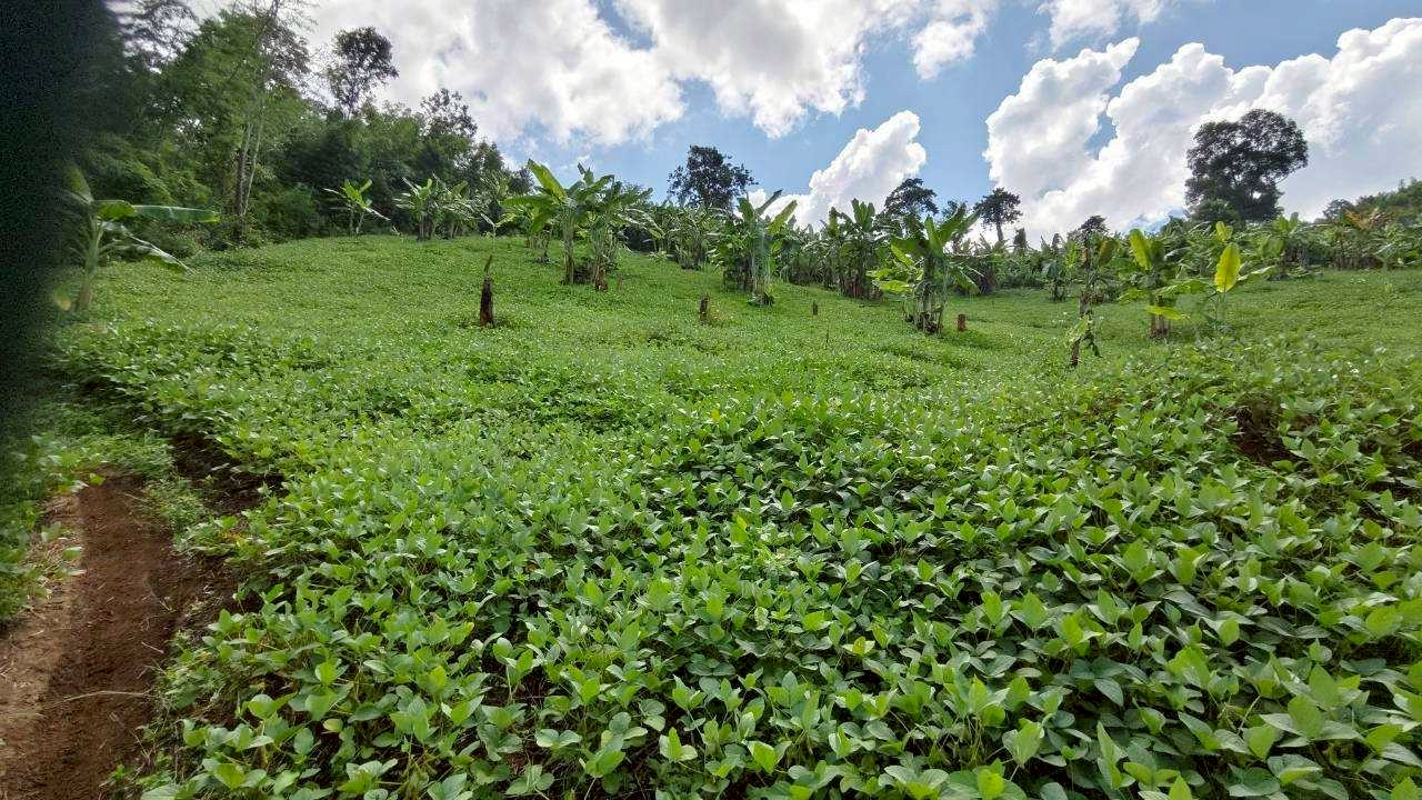 %e0%b8%96%e0%b8%b1%e0%b9%88%e0%b8%a7%e0%b9%80%e0%b8%ab%e0%b8%a5%e0%b8%b7%e0%b8%ad%e0%b8%87