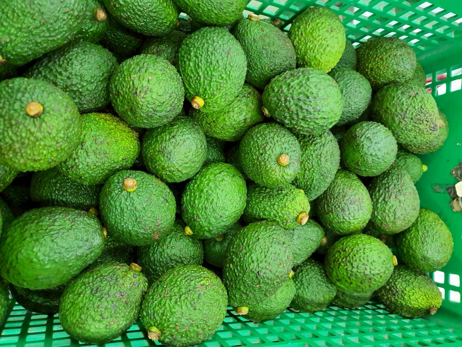 %e0%b8%ad%e0%b8%b0%e0%b9%82%e0%b8%a7%e0%b8%84%e0%b8%b2%e0%b9%82%e0%b8%94-%e0%b8%ab%e0%b9%89%e0%b8%a7%e0%b8%a2%e0%b9%80%e0%b8%9b%e0%b9%89%e0%b8%b2