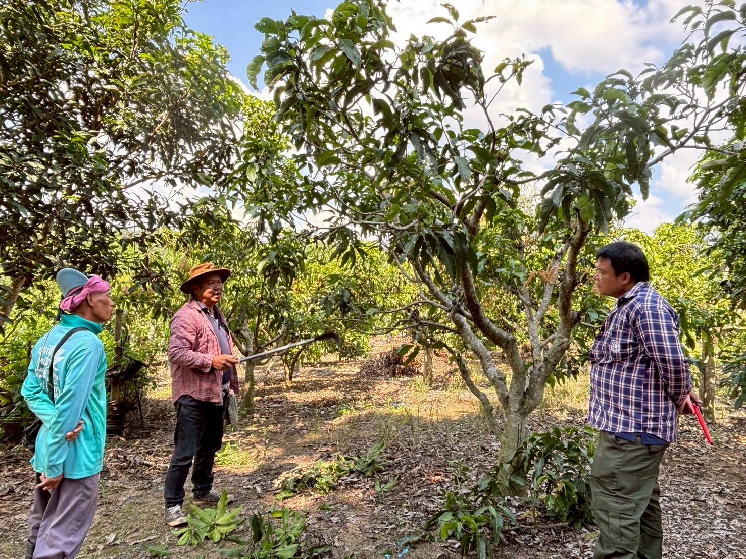 %e0%b8%95%e0%b8%b1%e0%b8%94%e0%b9%81%e0%b8%95%e0%b9%88%e0%b8%87%e0%b8%95%e0%b9%89%e0%b8%99%e0%b8%a1%e0%b8%b0%e0%b8%a1%e0%b9%88%e0%b8%a7%e0%b8%87