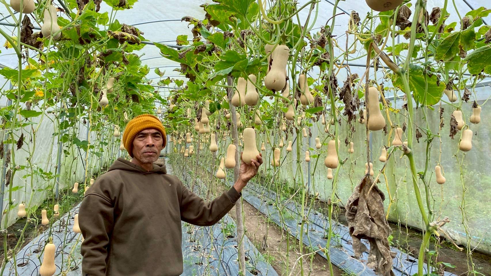 %e0%b8%9a%e0%b8%b1%e0%b8%95%e0%b9%80%e0%b8%95%e0%b8%ad%e0%b8%a3%e0%b9%8c%e0%b8%99%e0%b8%b1%e0%b8%97-%e0%b8%ab%e0%b9%89%e0%b8%a7%e0%b8%a2%e0%b9%82%e0%b8%9b%e0%b9%88%e0%b8%87%e0%b8%9e%e0%b8%b1%e0%b8%92