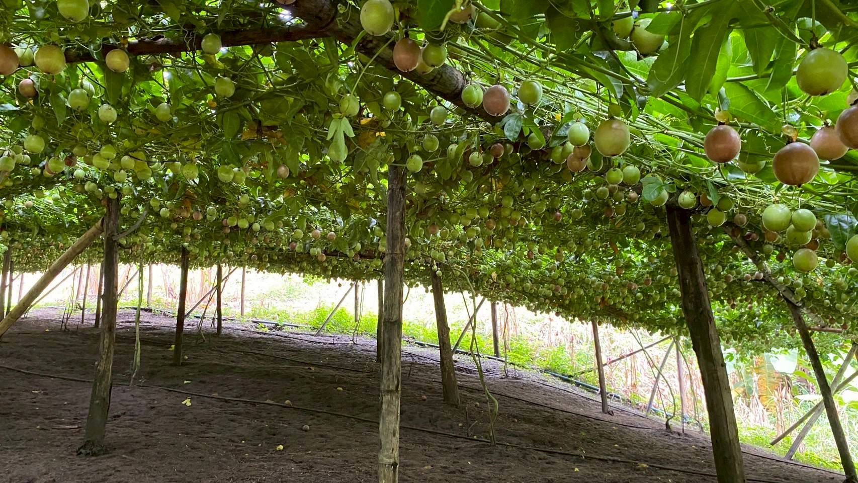 %e0%b9%81%e0%b8%9b%e0%b8%a5%e0%b8%87%e0%b9%80%e0%b8%aa%e0%b8%b2%e0%b8%a7%e0%b8%a3%e0%b8%aa%e0%b8%ab%e0%b8%a7%e0%b8%b2%e0%b8%99