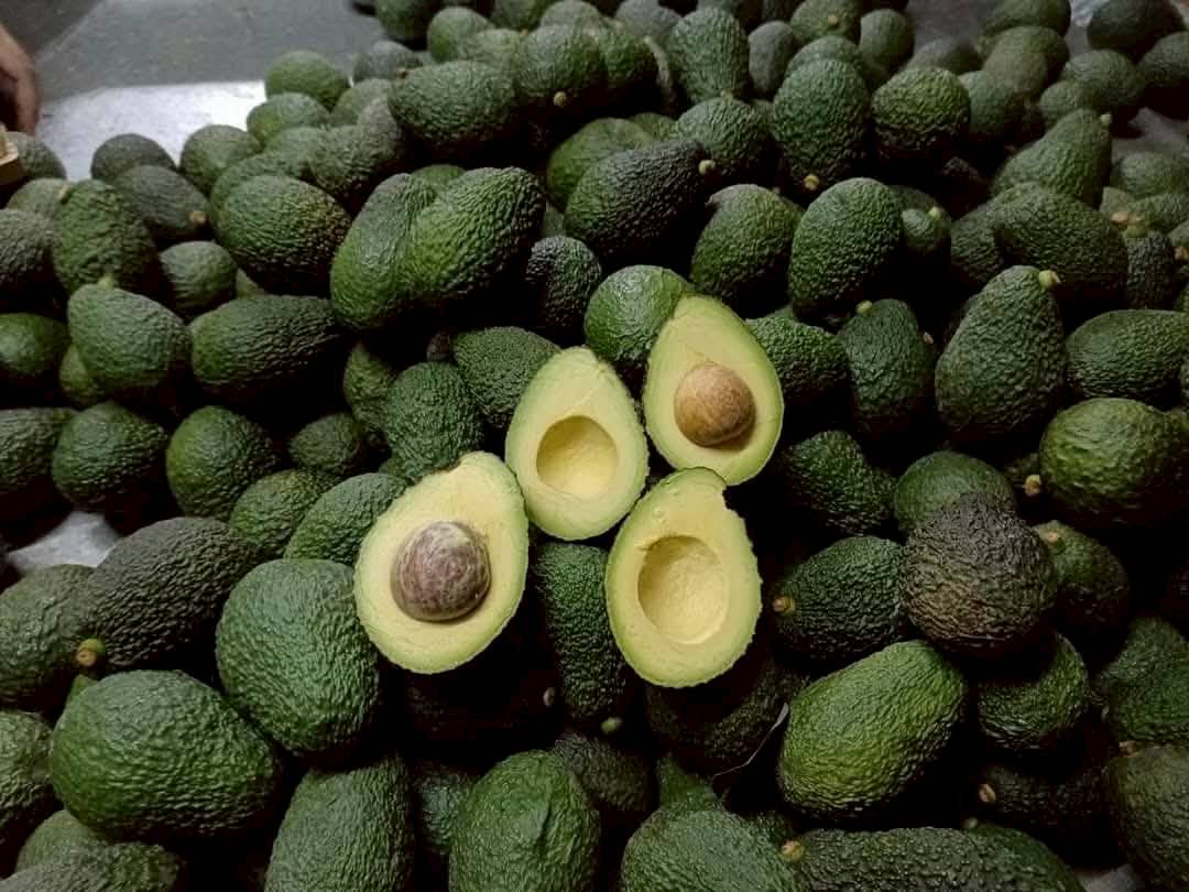 %e0%b8%ad%e0%b8%b0%e0%b9%82%e0%b8%a7%e0%b8%84%e0%b8%b2%e0%b9%82%e0%b8%94-%e0%b8%9b%e0%b9%88%e0%b8%b2%e0%b9%81%e0%b8%9b%e0%b9%8b