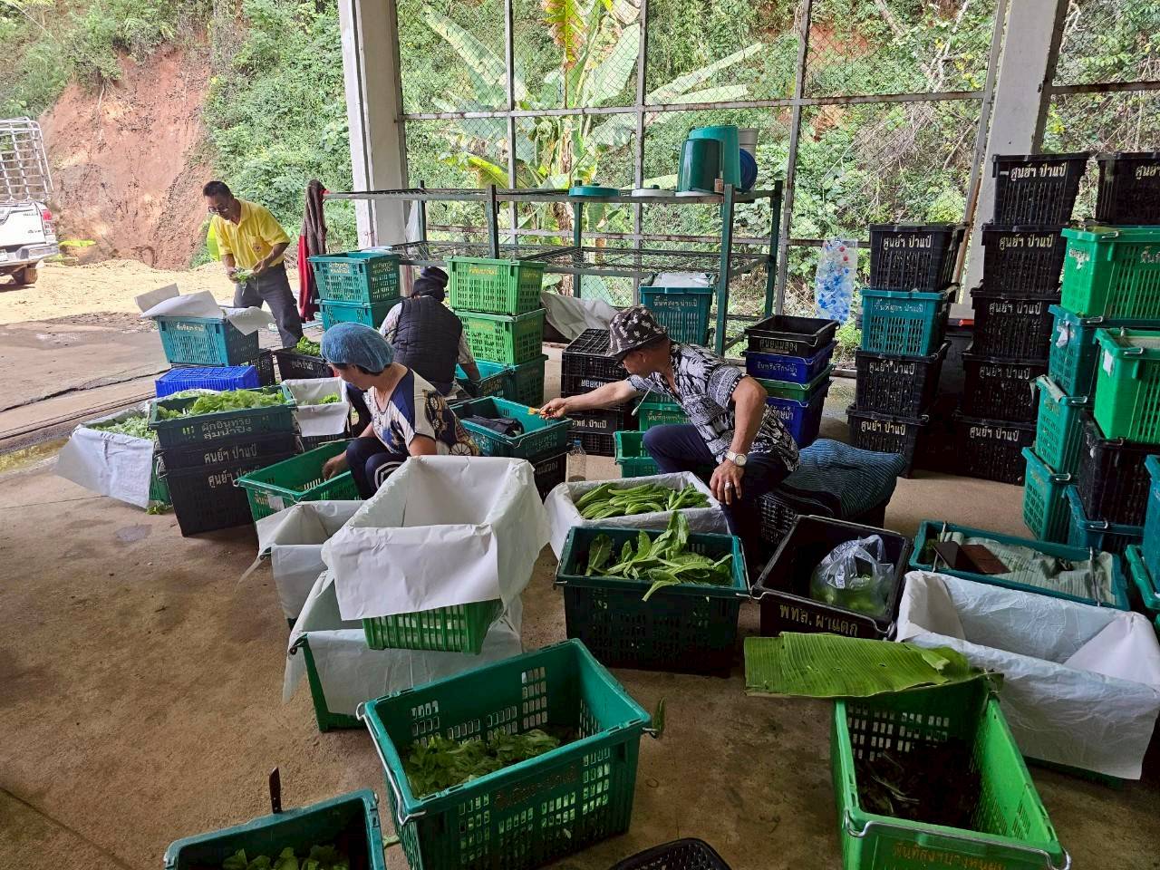 %e0%b8%84%e0%b8%b1%e0%b8%94%e0%b9%80%e0%b8%81%e0%b8%a3%e0%b8%94%e0%b8%9c%e0%b8%a5%e0%b8%9c%e0%b8%a5%e0%b8%b4%e0%b8%95